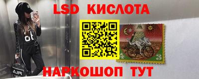 прущие крисы Гай